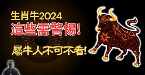 牛屬|生肖牛：屬牛2024年運勢及運程，2024年屬牛人的全年每月運勢。